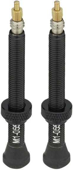 Fulcrum Road Tubelessventil-Kit Für Symmetrische Felgen -Hochleistungsfahrrad 382496