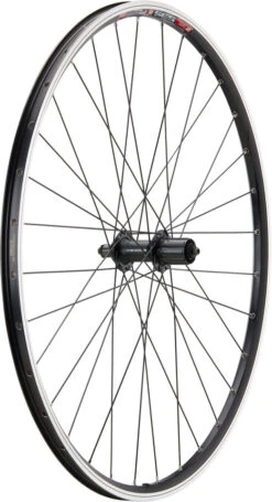 Urban Acera V-Brake DT Swiss 535 28" Laufradsatz -Hochleistungsfahrrad 396792
