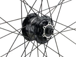 Mountain Alivio Disc 6-Loch DT Swiss 466d 29" Laufradsatz -Hochleistungsfahrrad 399626