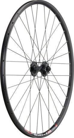 Mountain Alivio Disc 6-Loch DT Swiss 466d 29" Laufradsatz -Hochleistungsfahrrad 399632