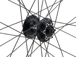 Mountain Alivio Disc 6-Loch DT Swiss 466d 29" Laufradsatz -Hochleistungsfahrrad 399633